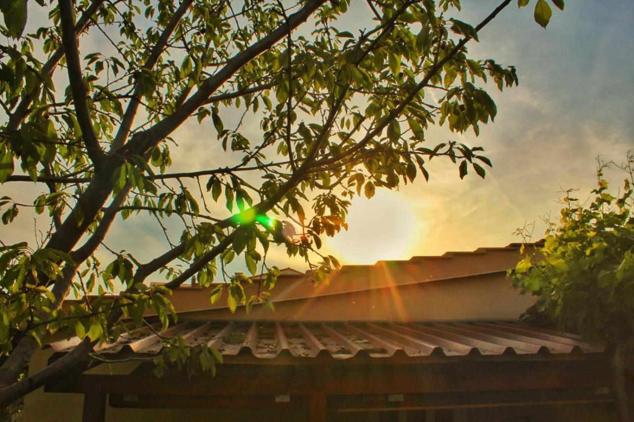 Apartment Taja, Cijela Kuca I Vrt Samo Za Vas Split Exterior foto